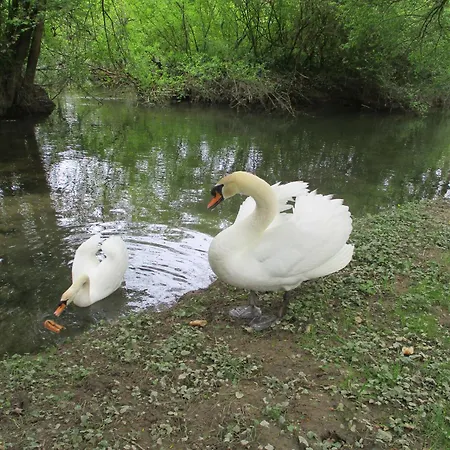 Feriehus Prox Festivals ! *